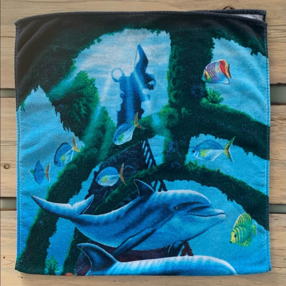 Vintage Basion Shipwreck Dolphins Fish Coral Reef Scene Beach Towel Greece